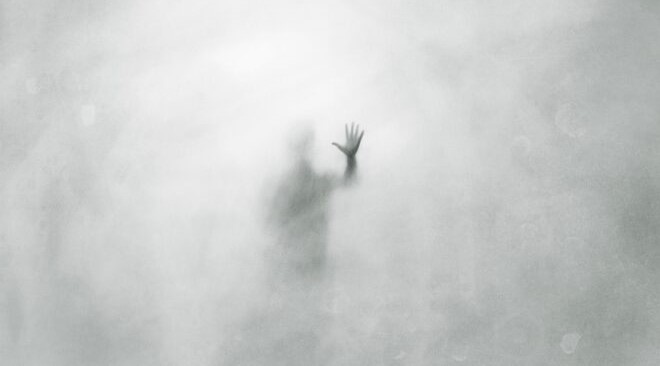 Εικόνα επιλογής