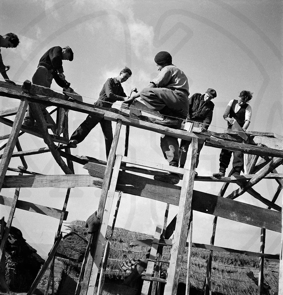 Εικόνα επιλογής