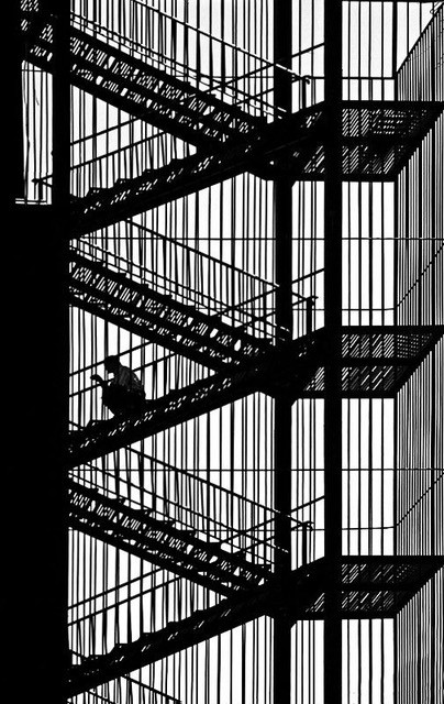 Εικόνα επιλογής