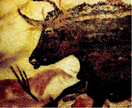 Εικόνα επιλογής