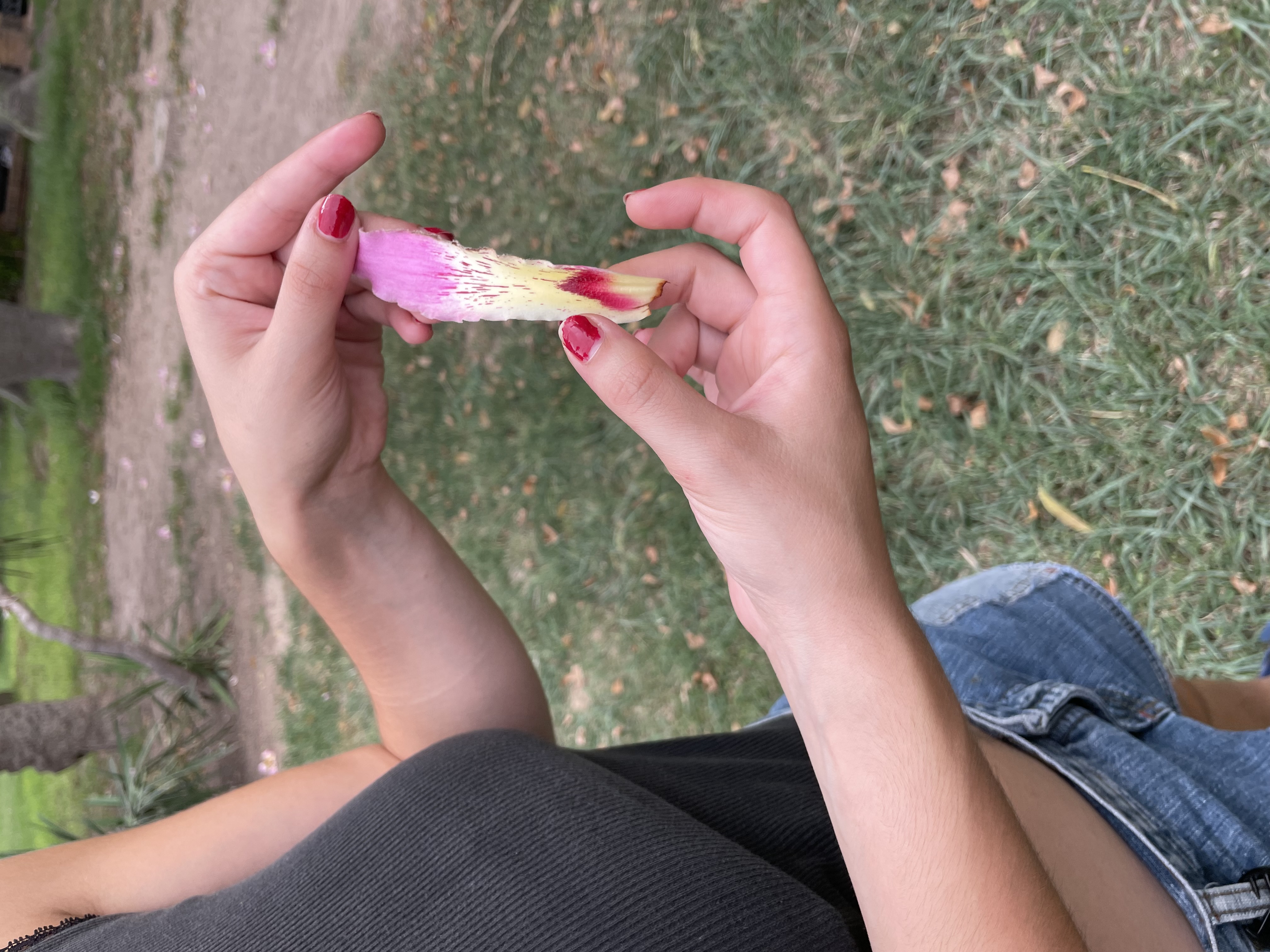 Εικόνα επιλογής